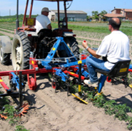 KRESS FINGERWEEDER - gwiazdki - system mechanicznego pielenia roślin w rzędach